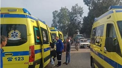 العثور على جثث 4 أشفاء داخل ملاحة الإسكندرية