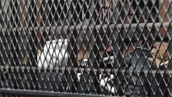 تأجيل محاكمة 30 متهمًا في قضية خلية الدعم المالي لـ 15 مارس