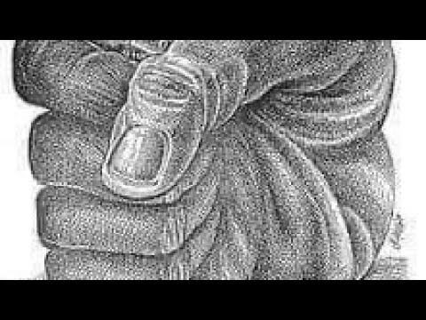 الجحود والظلم !! هي القيامة هتقوم أمتى ؟ لأن كده كتير بصراحة